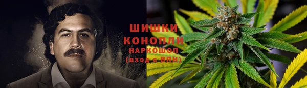 apvp Аркадак