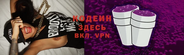 молекула духа Арсеньев