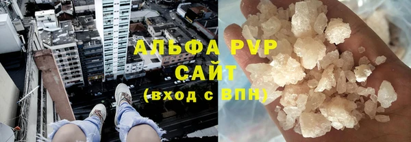 молекула духа Арсеньев