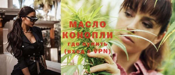 молекула духа Арсеньев
