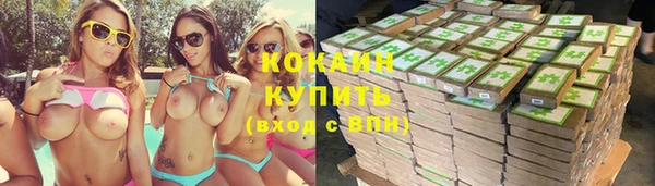 кокс Алексин